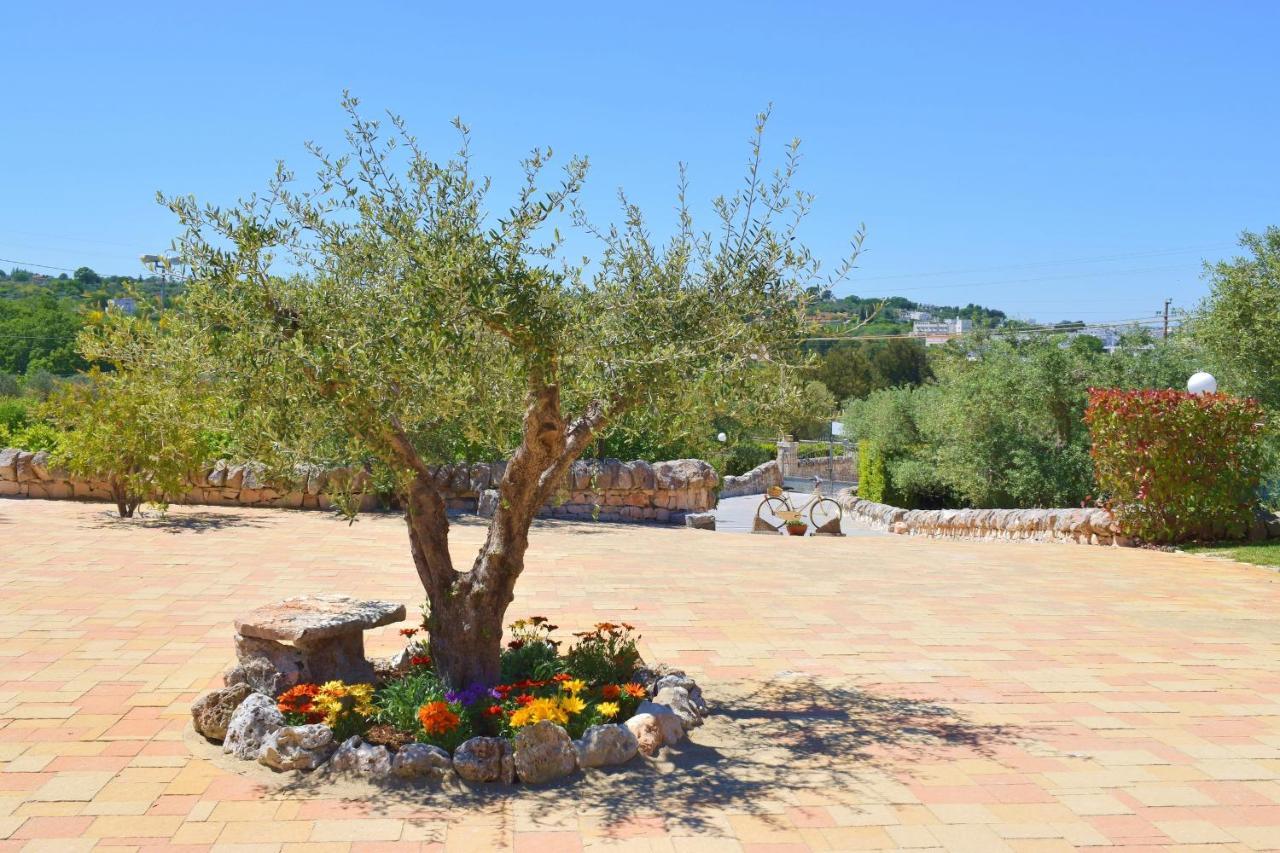 La Rosa Dei Trulli B&B Alberobello Exterior foto