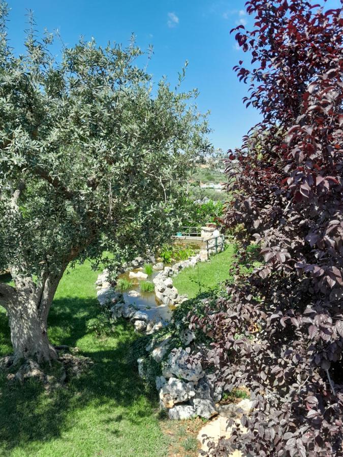 La Rosa Dei Trulli B&B Alberobello Exterior foto