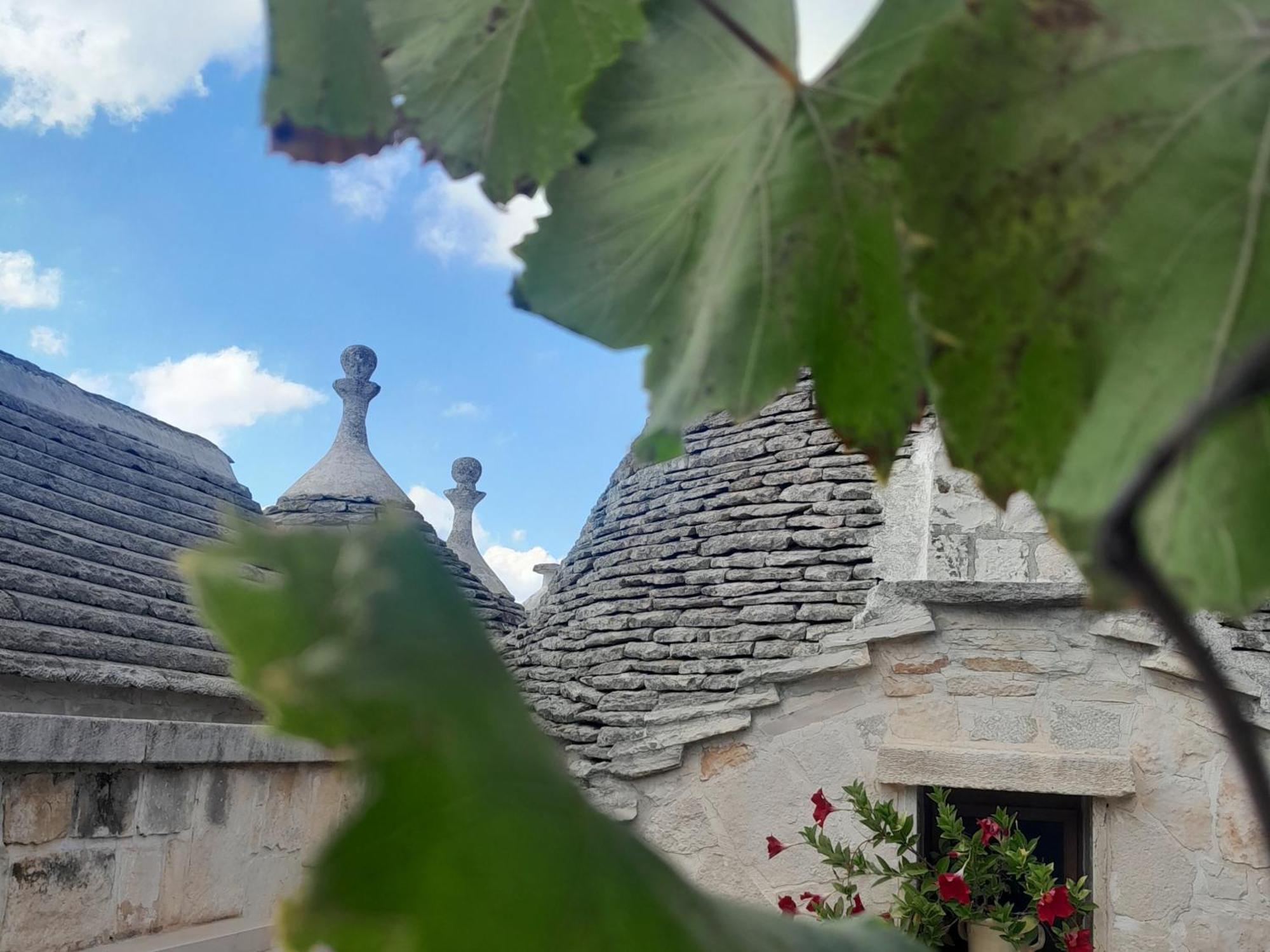 La Rosa Dei Trulli B&B Alberobello Exterior foto