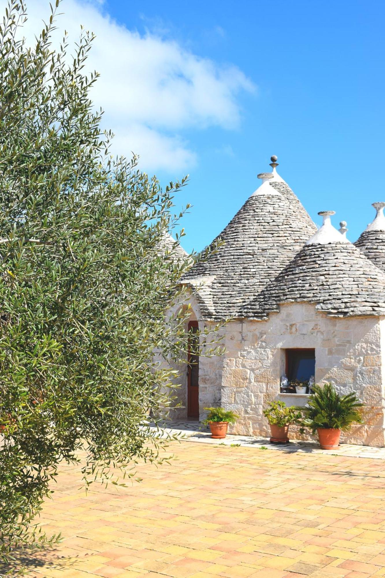 La Rosa Dei Trulli B&B Alberobello Exterior foto