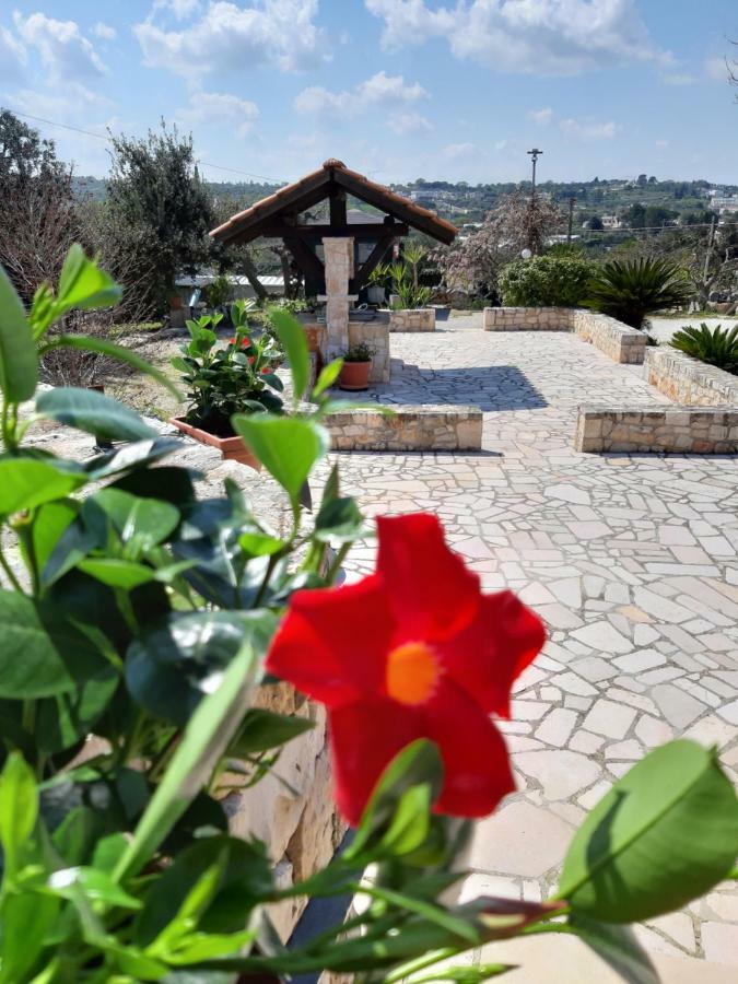 La Rosa Dei Trulli B&B Alberobello Exterior foto